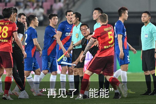 “再见了，能能”