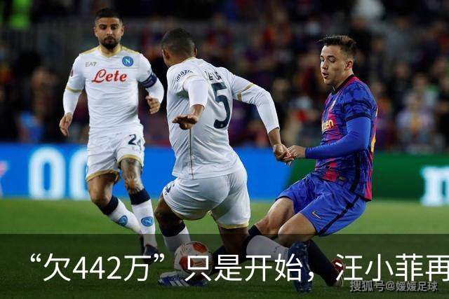 “欠442万”只是开始，汪小菲再迎2大重锤，张兰真是怕啥来啥