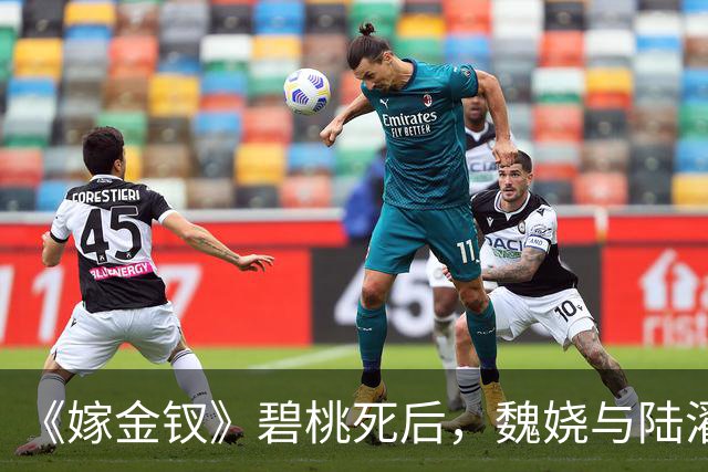 《嫁金钗》碧桃死后，魏娆与陆濯布局向皇后报仇，才明白，魏娆所受的苦，均来源于生母周芙