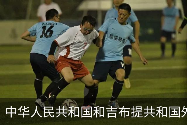 中华人民共和国和吉布提共和国外交部长关于维护非洲之角和平稳定及红海和亚丁湾航道安全的联合新闻公报