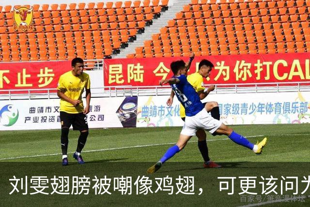 刘雯翅膀被嘲像鸡翅，可更该问为何十年仅两副？