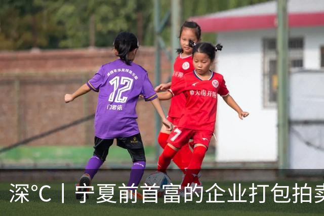 深℃丨宁夏前首富的企业打包拍卖，起拍价7.39亿