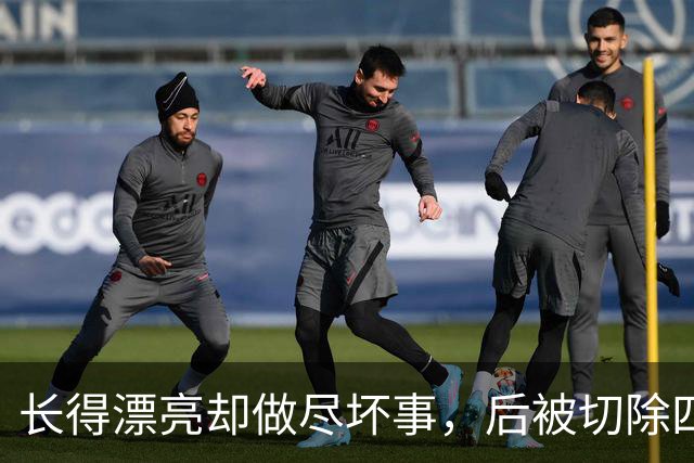 长得漂亮却做尽坏事，后被切除四个器官，就连小十五岁老公也出轨