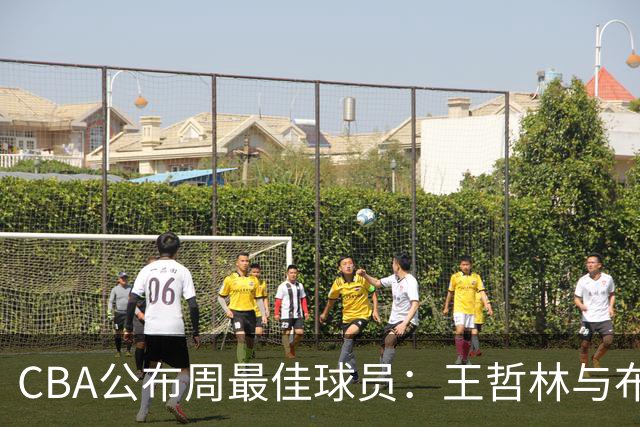 CBA公布周最佳球员：王哲林与布莱克尼当选