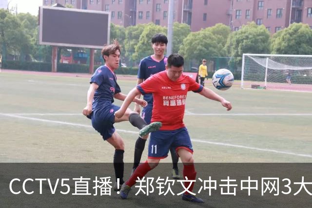 CCTV5直播！郑钦文冲击中网3大纪录 赢球=228万奖金 创历史就在眼前