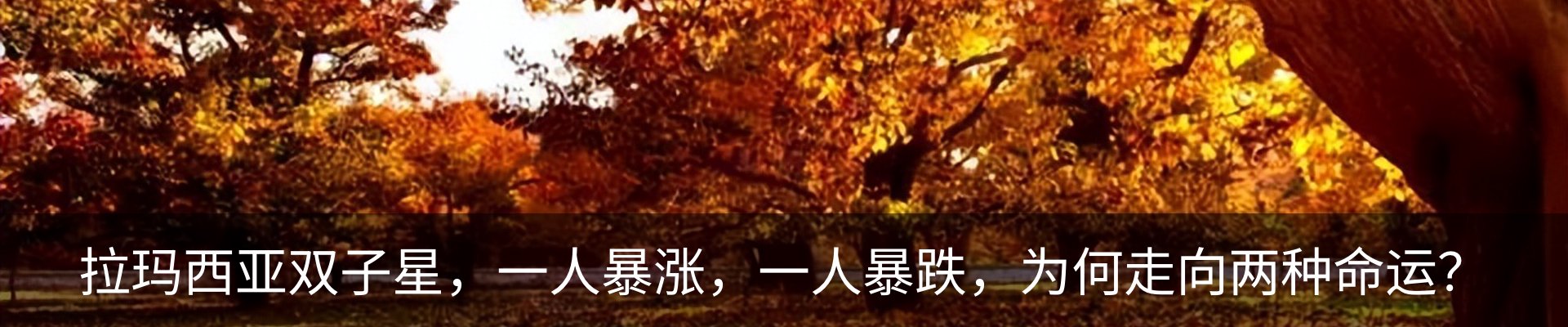 资讯动态