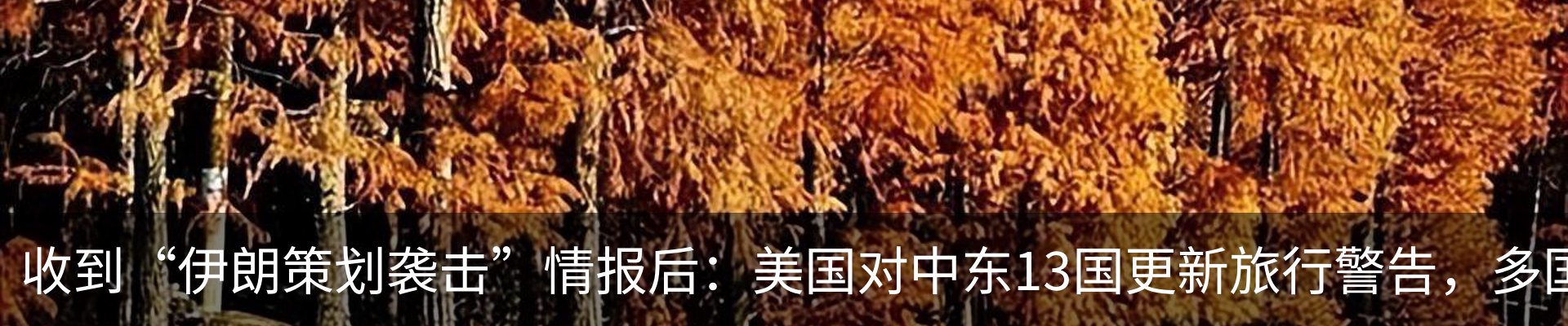 资讯动态