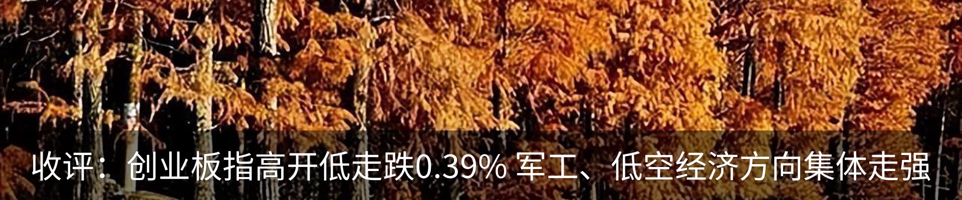 资讯动态