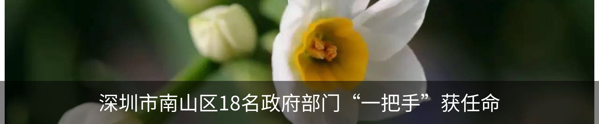 资讯动态
