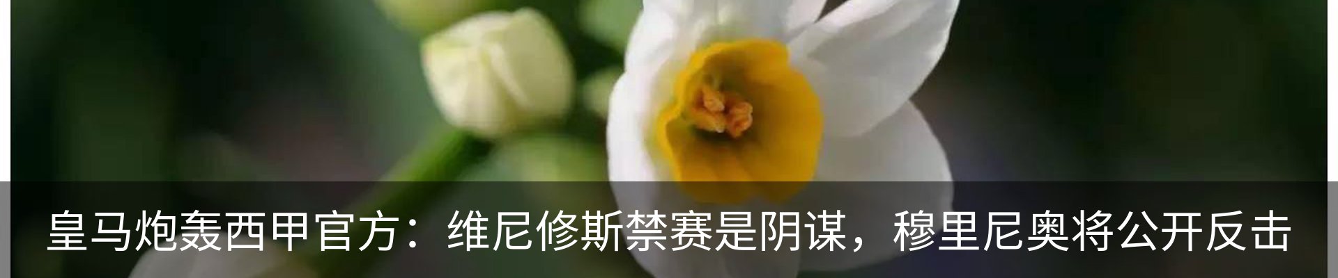 资讯动态