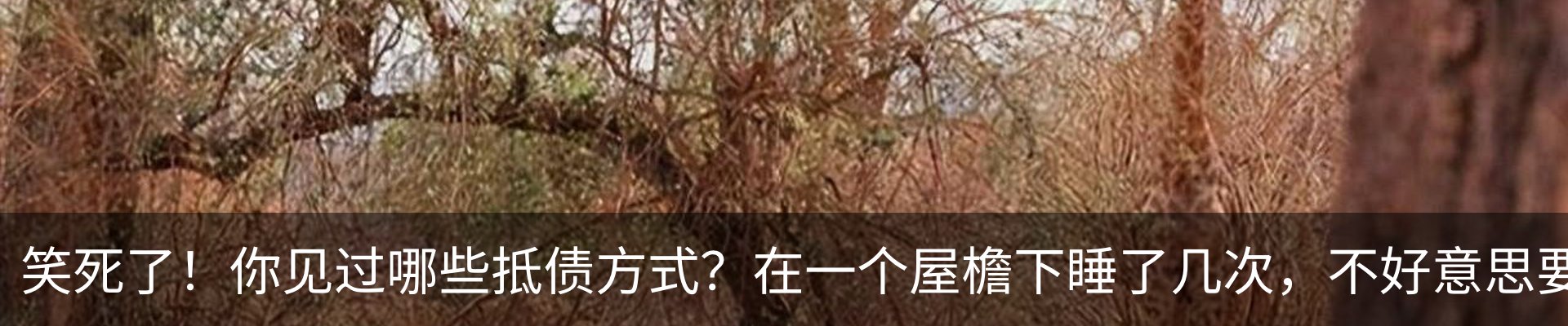 资讯动态