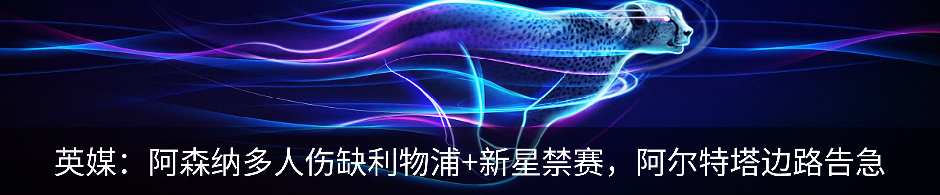 资讯动态